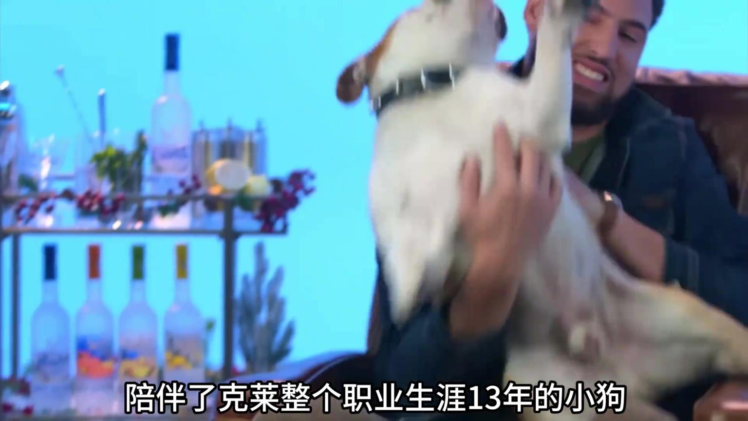 陪伴克萊13年的小狗去世了，不敢相信克萊得多么傷心